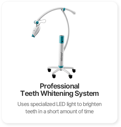 Professional teeth whitening system