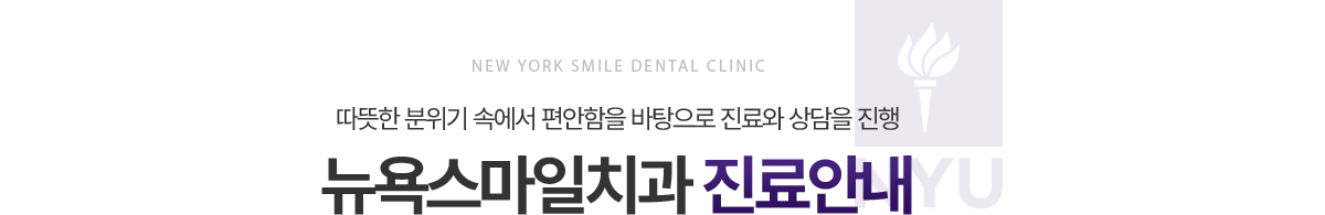 뉴욕스마일치과 진료안내
