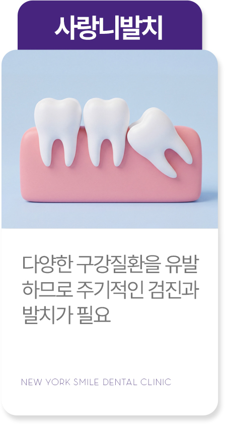 심미치료 심미치료