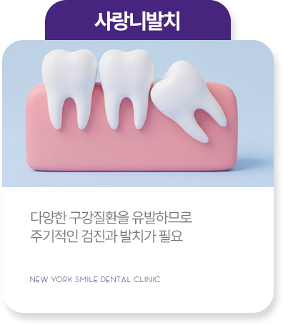 심미치료 심미치료